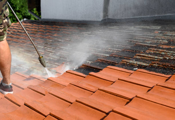 Best Pressure Washing Near Me  in Rolla, ND