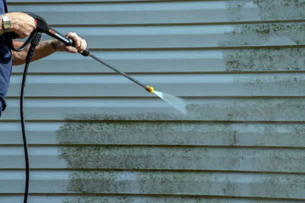 Best Roof Power Washing Services  in Rolla, ND