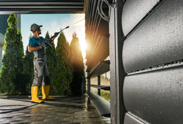 Best Local Pressure Washing Services  in Rolla, ND