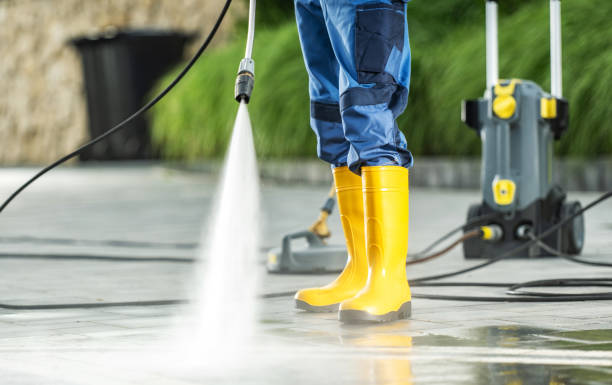 Best Deck Pressure Washing  in Rolla, ND